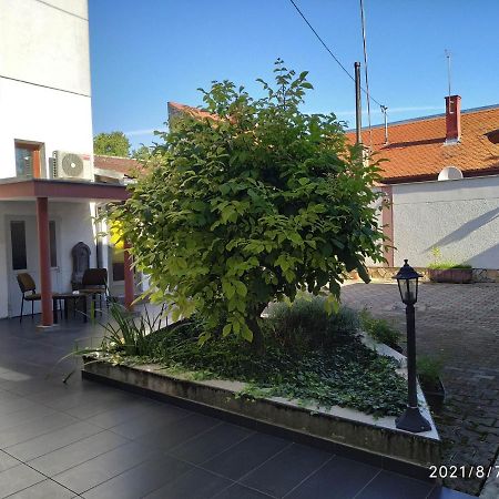 אוסילק Apartman Tia מראה חיצוני תמונה