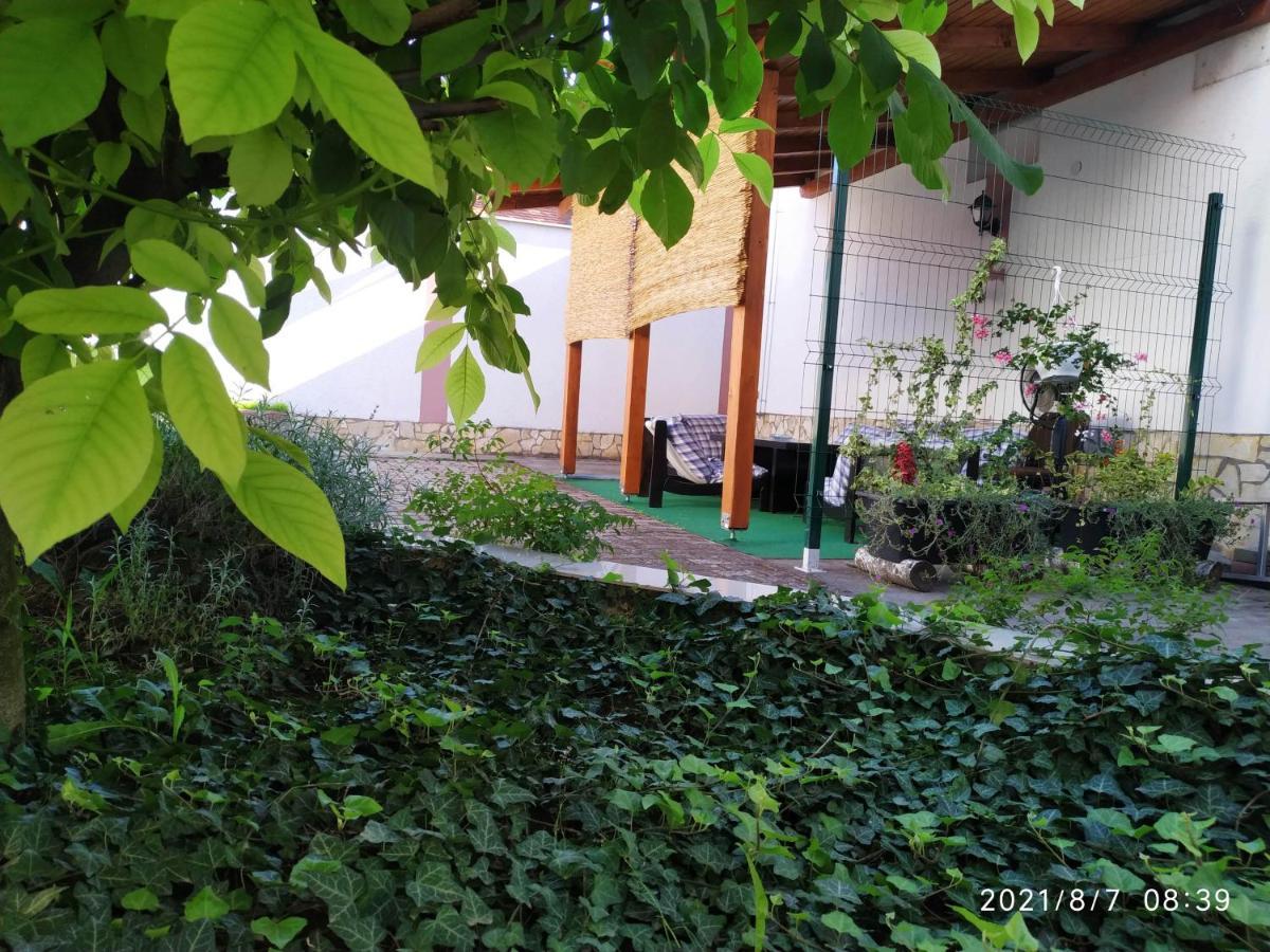 אוסילק Apartman Tia מראה חיצוני תמונה